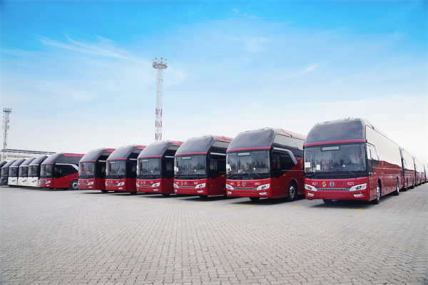 2025年中國沙特最大單！金旅234臺(tái)高端旅游客運(yùn)車揚(yáng)帆啟航