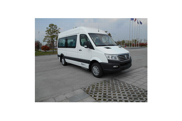 亞星YBL6591QYP客車（柴油國(guó)五10-18座）